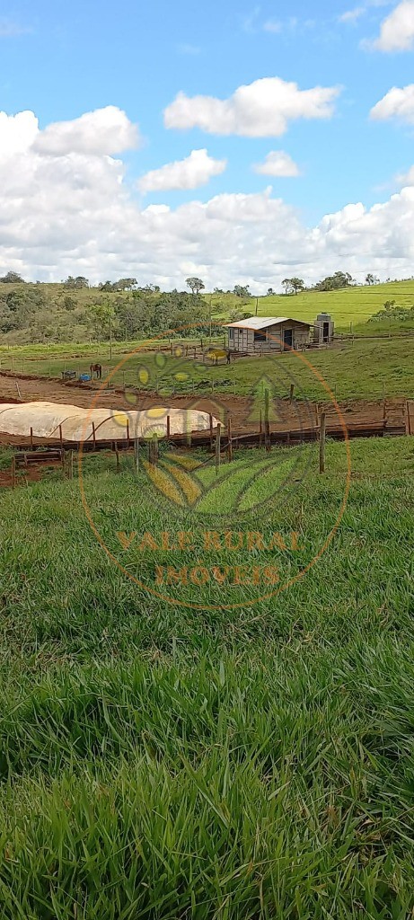 Fazenda à venda com 1 quarto, 85m² - Foto 2