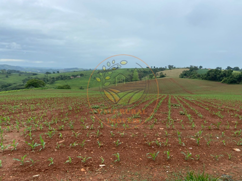 Fazenda à venda com 2 quartos, 47m² - Foto 21