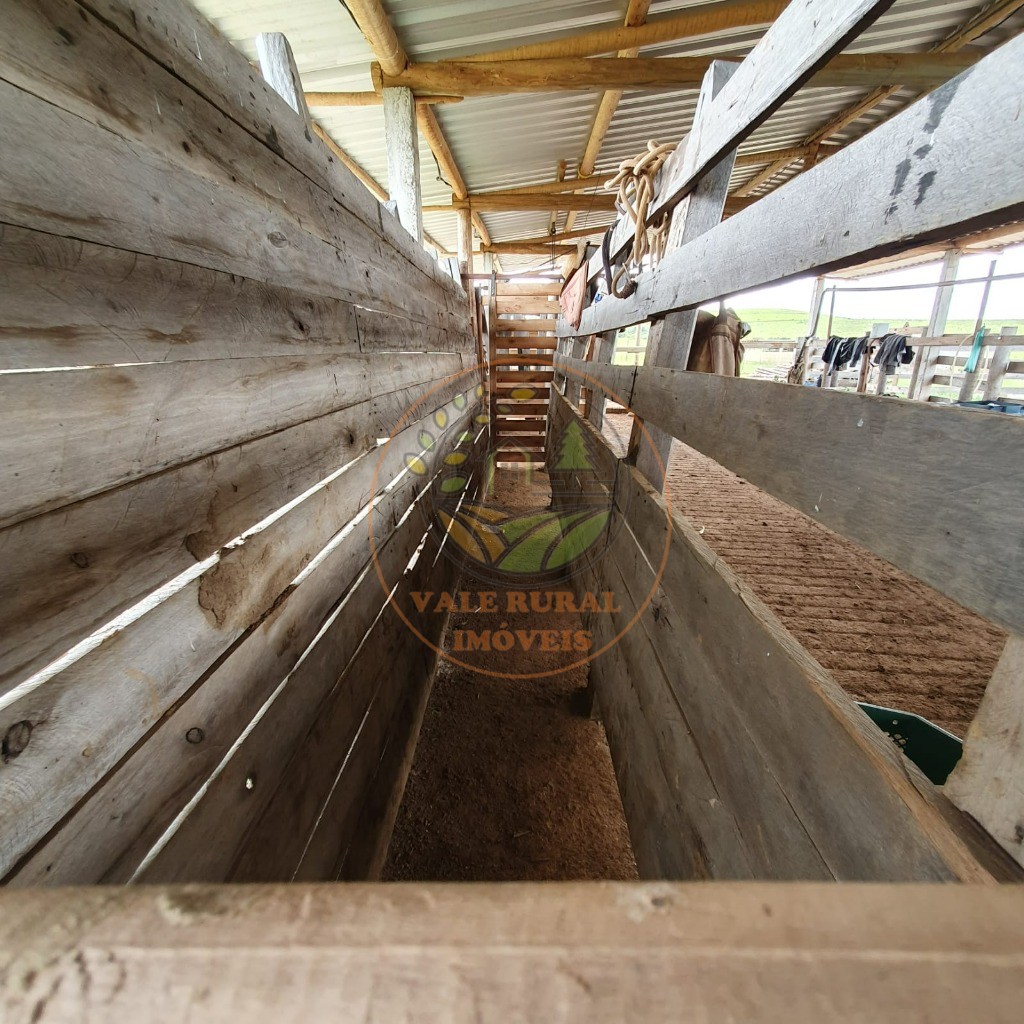 Fazenda à venda - Foto 7