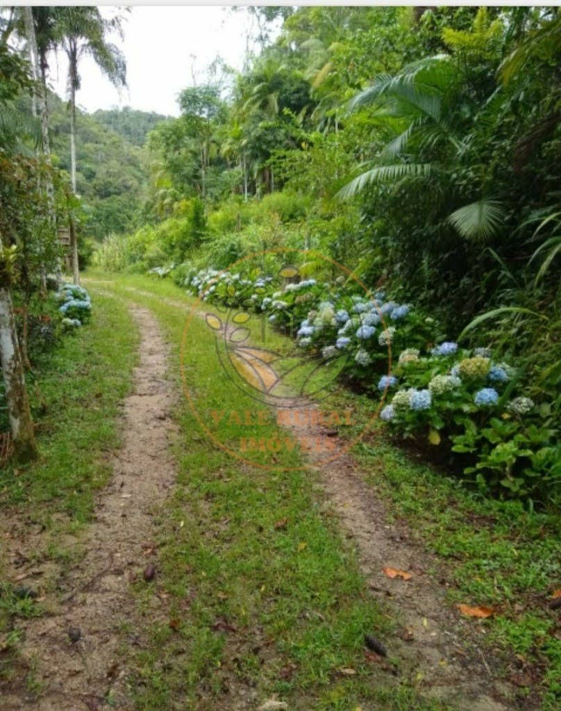 Chácara à venda com 2 quartos, 8000m² - Foto 14