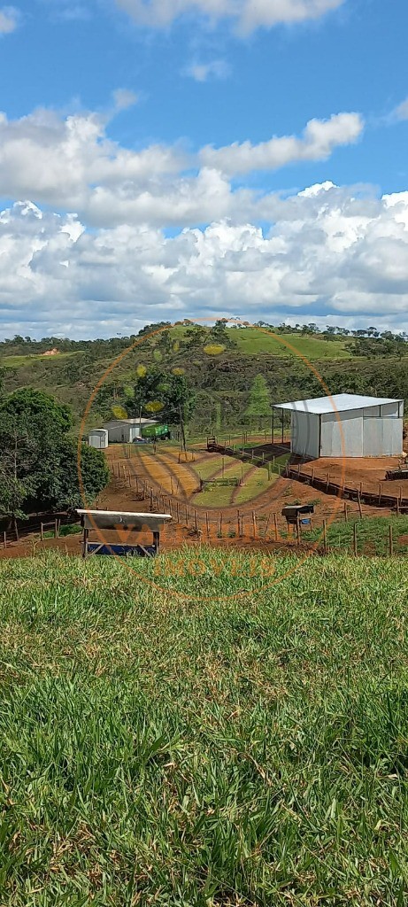 Fazenda à venda com 1 quarto, 85m² - Foto 8