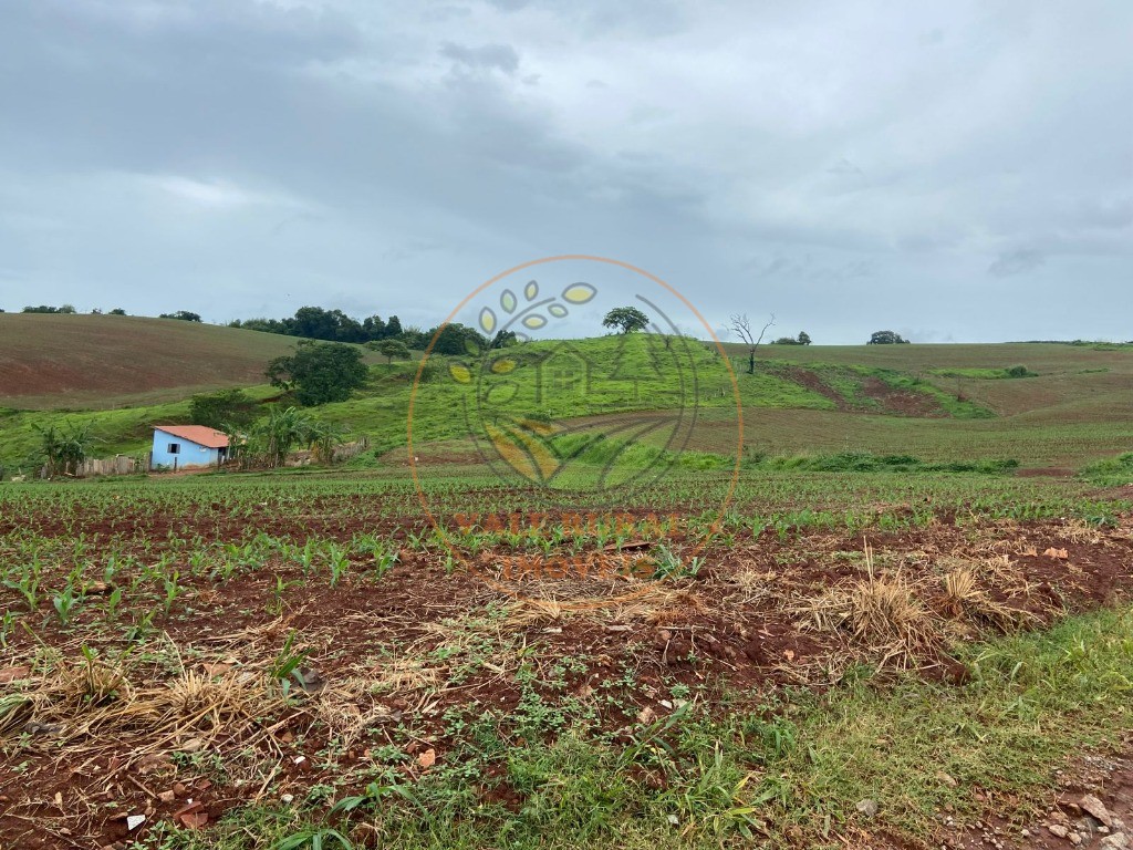 Fazenda à venda com 2 quartos, 47m² - Foto 20