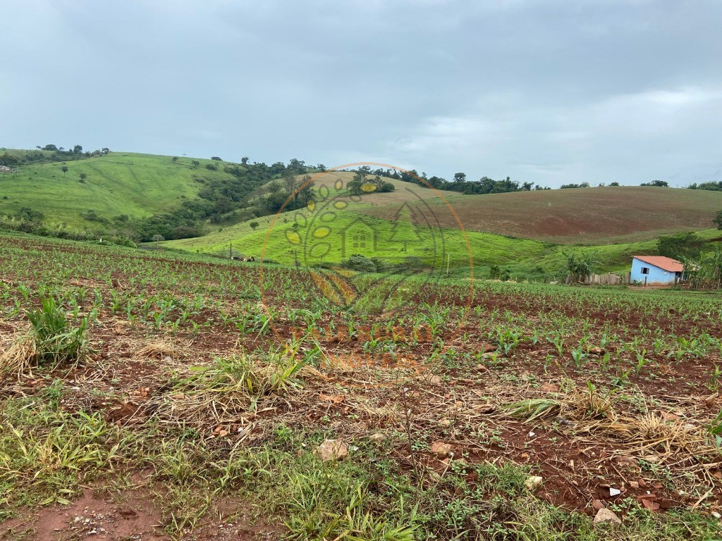 Fazenda à venda com 2 quartos, 47m² - Foto 15