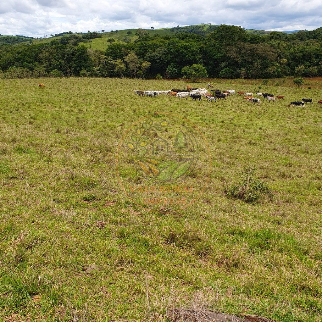 Fazenda à venda - Foto 2