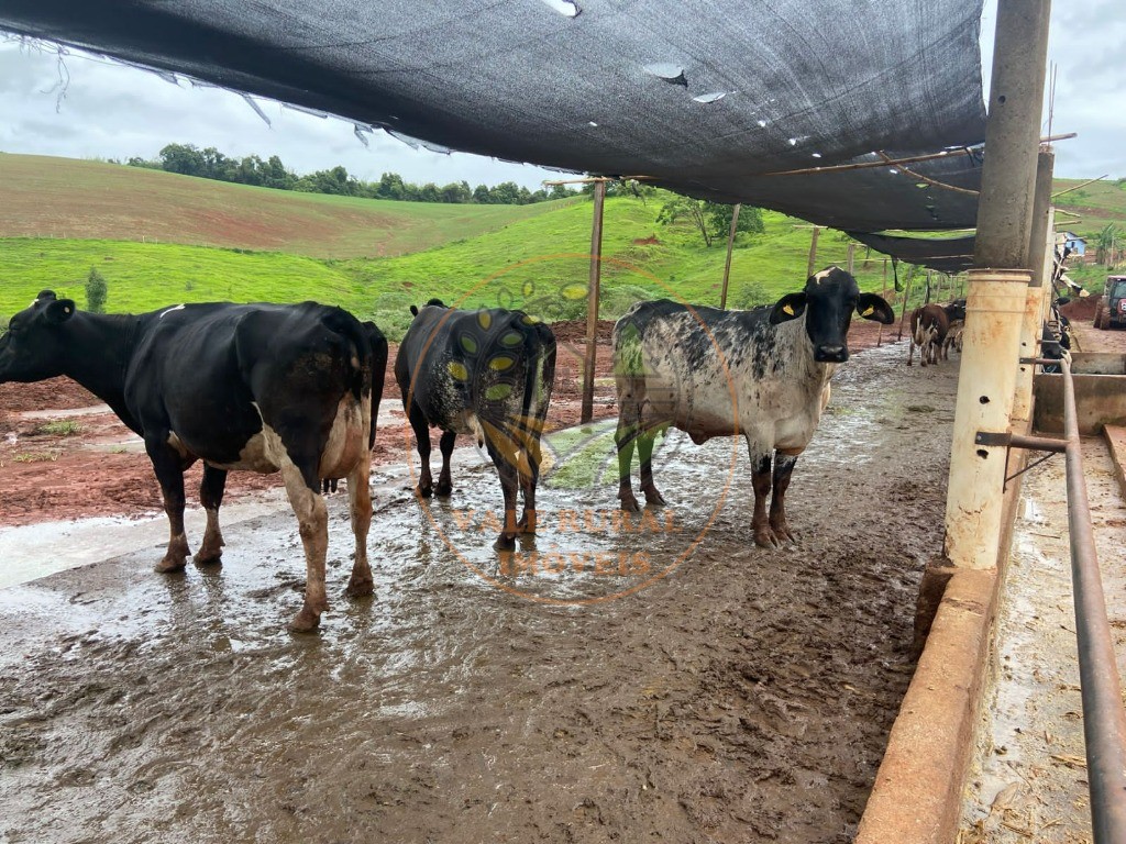 Fazenda à venda com 2 quartos, 47m² - Foto 8