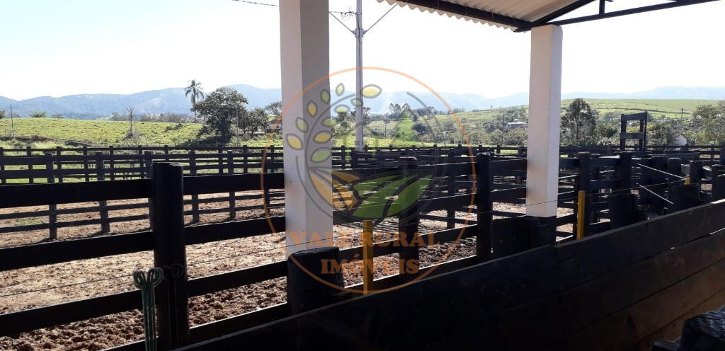 Fazenda à venda com 2 quartos, 84m² - Foto 18