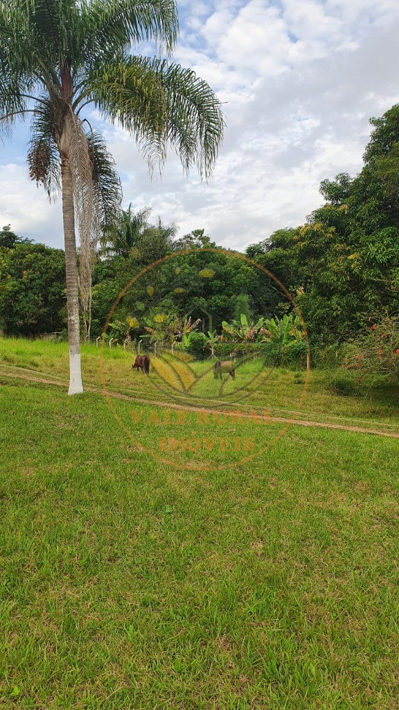 Chácara à venda com 2 quartos, 10000m² - Foto 7