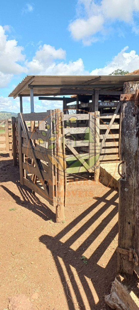 Fazenda à venda com 1 quarto, 85m² - Foto 9