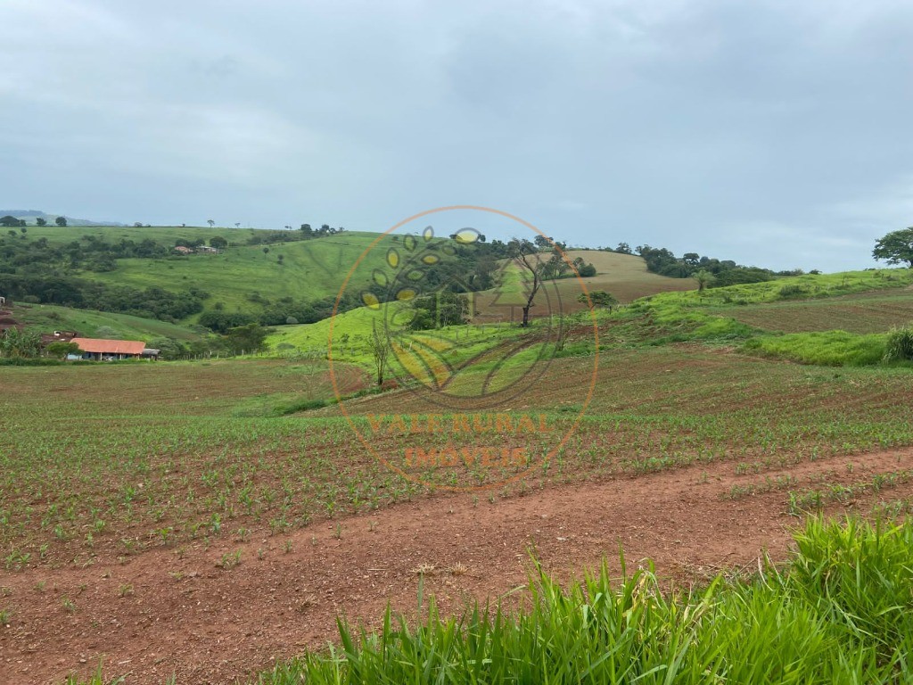 Fazenda à venda com 2 quartos, 47m² - Foto 2