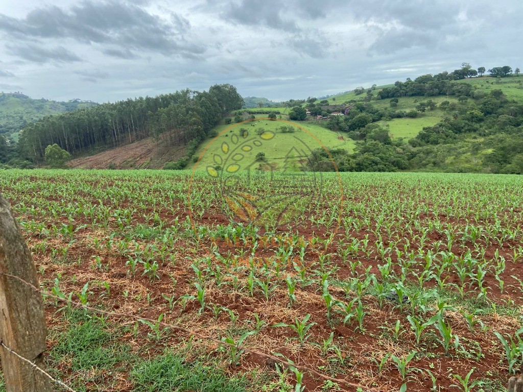 Fazenda à venda com 2 quartos, 47m² - Foto 4