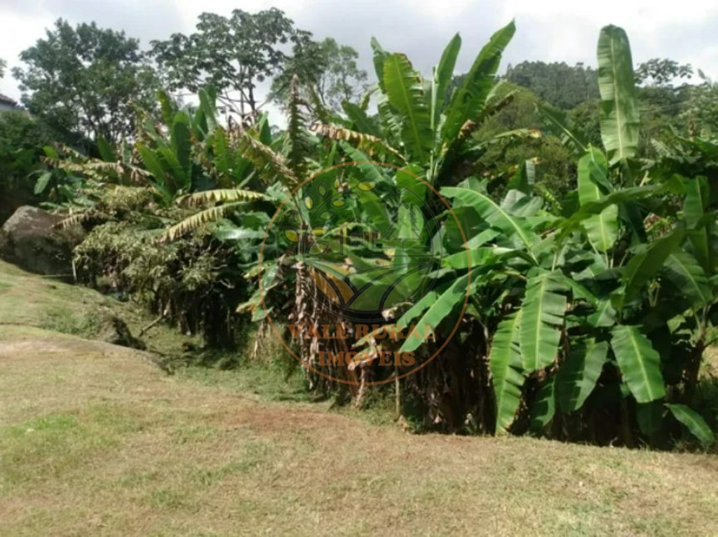 Chácara à venda com 3 quartos, 1000m² - Foto 9