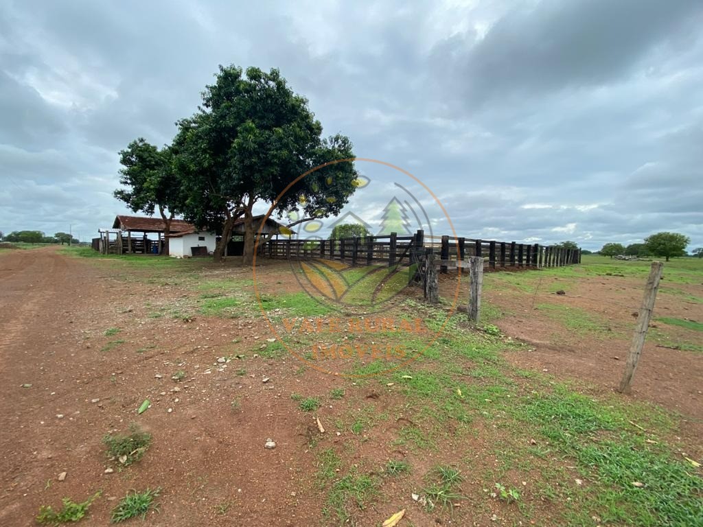 Fazenda à venda com 1 quarto, 954m² - Foto 11