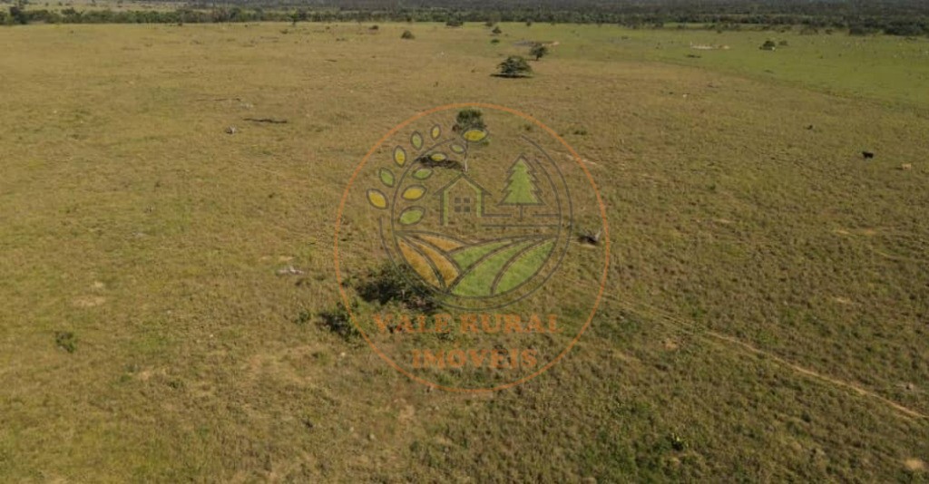 Fazenda à venda com 1 quarto, 1000m² - Foto 20