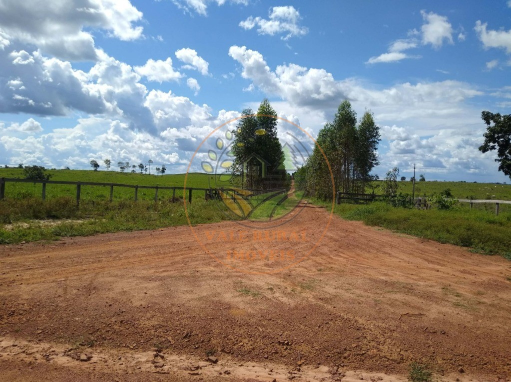 Fazenda à venda com 1 quarto, 1000m² - Foto 29