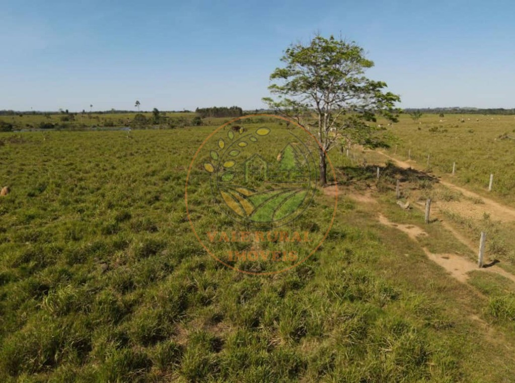 Fazenda à venda com 1 quarto, 1000m² - Foto 16