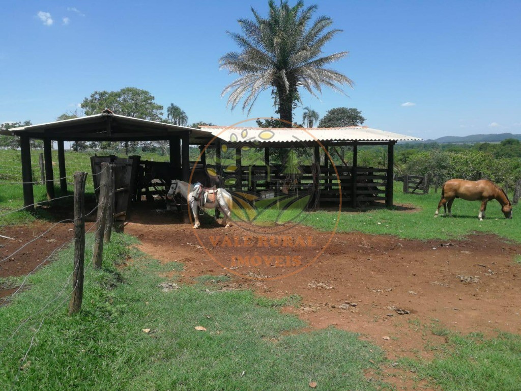 Fazenda à venda - Foto 20