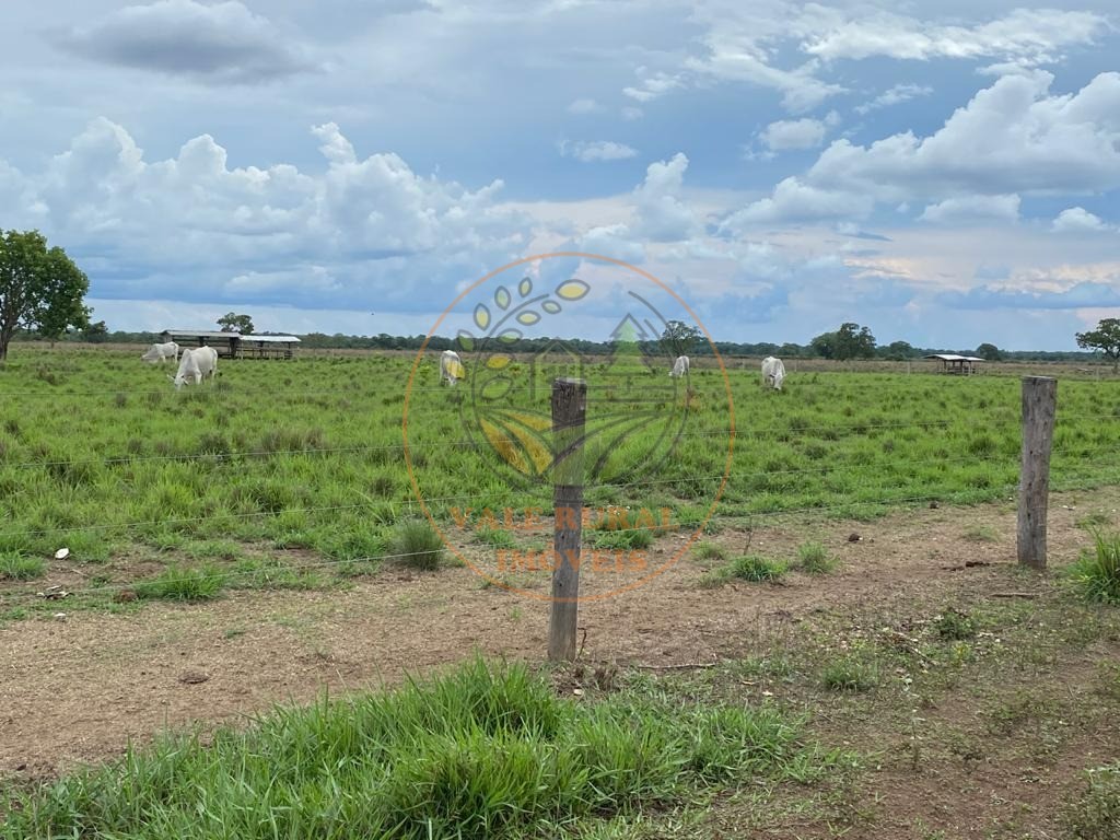 Fazenda à venda com 1 quarto, 954m² - Foto 14