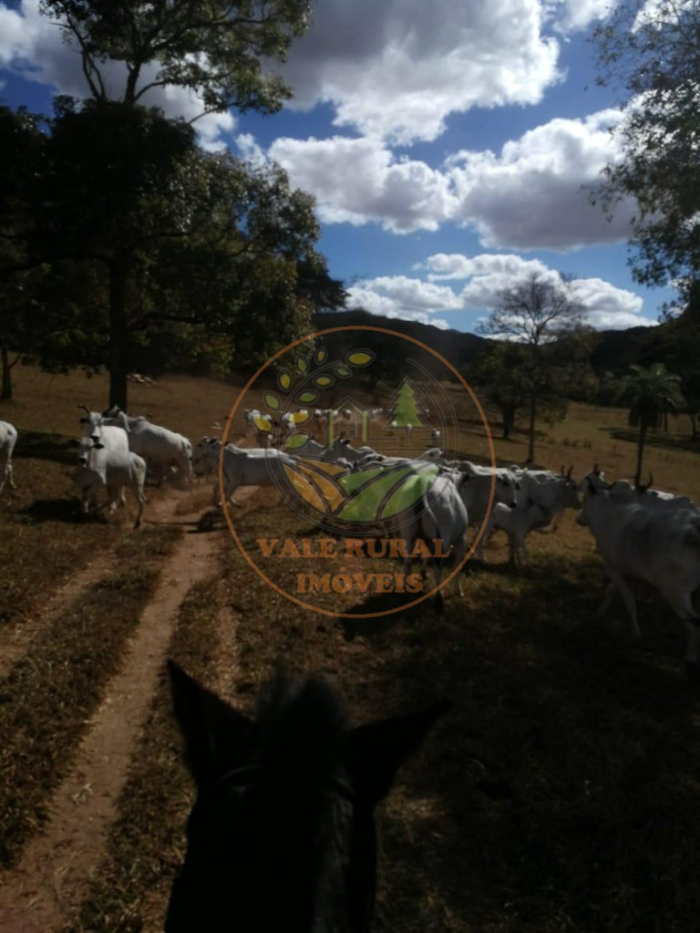 Fazenda à venda - Foto 15