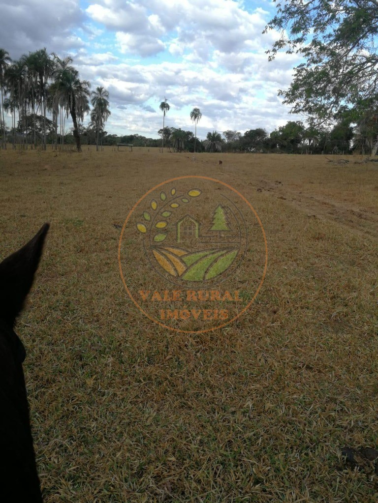 Fazenda à venda - Foto 6