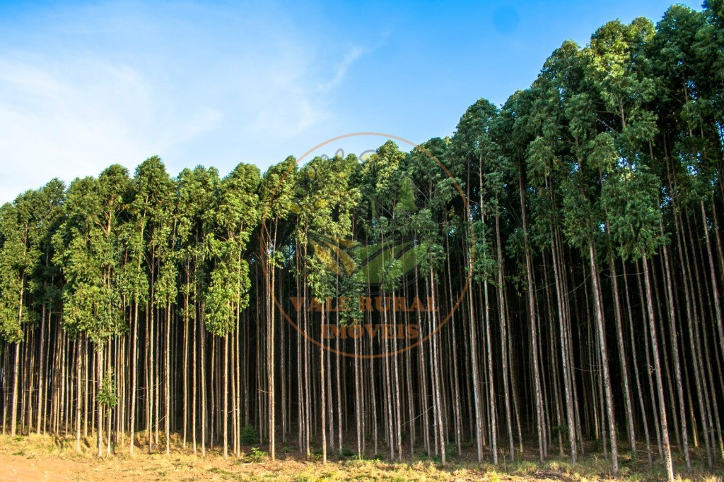 Fazenda à venda com 4 quartos, 440m² - Foto 5