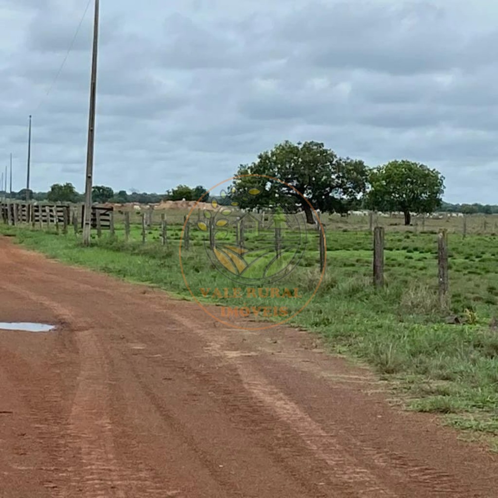 Fazenda à venda com 1 quarto, 954m² - Foto 5