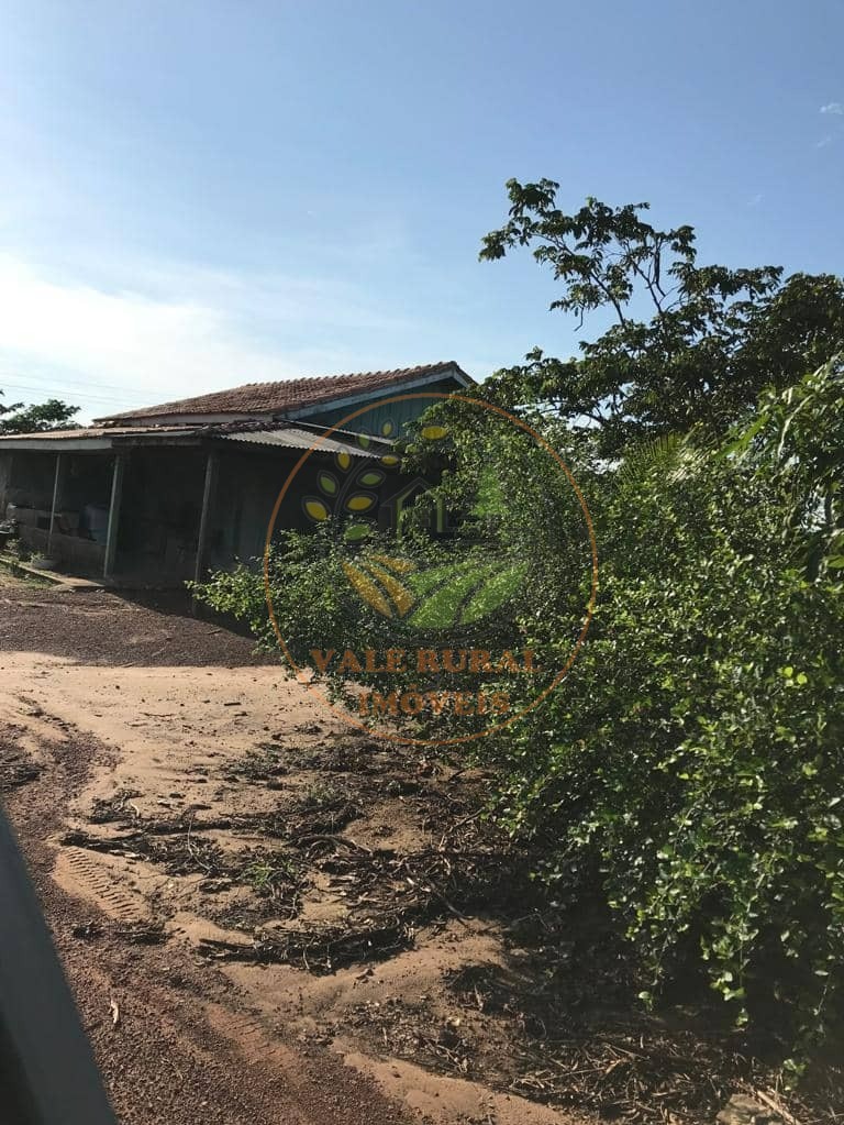 Fazenda à venda com 1 quarto, 1000m² - Foto 39