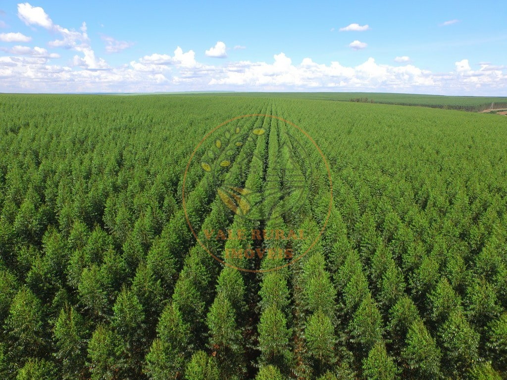 Fazenda à venda com 4 quartos, 440m² - Foto 6