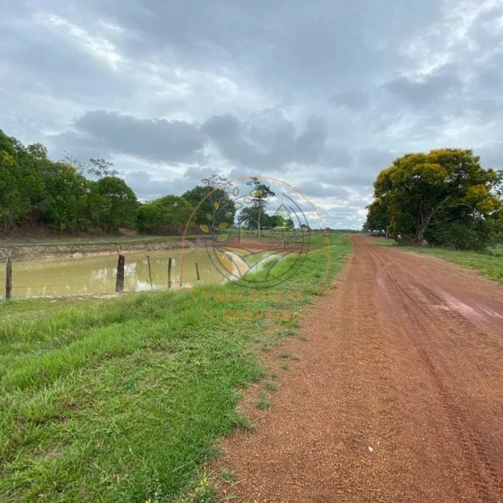 Fazenda à venda com 1 quarto, 954m² - Foto 6