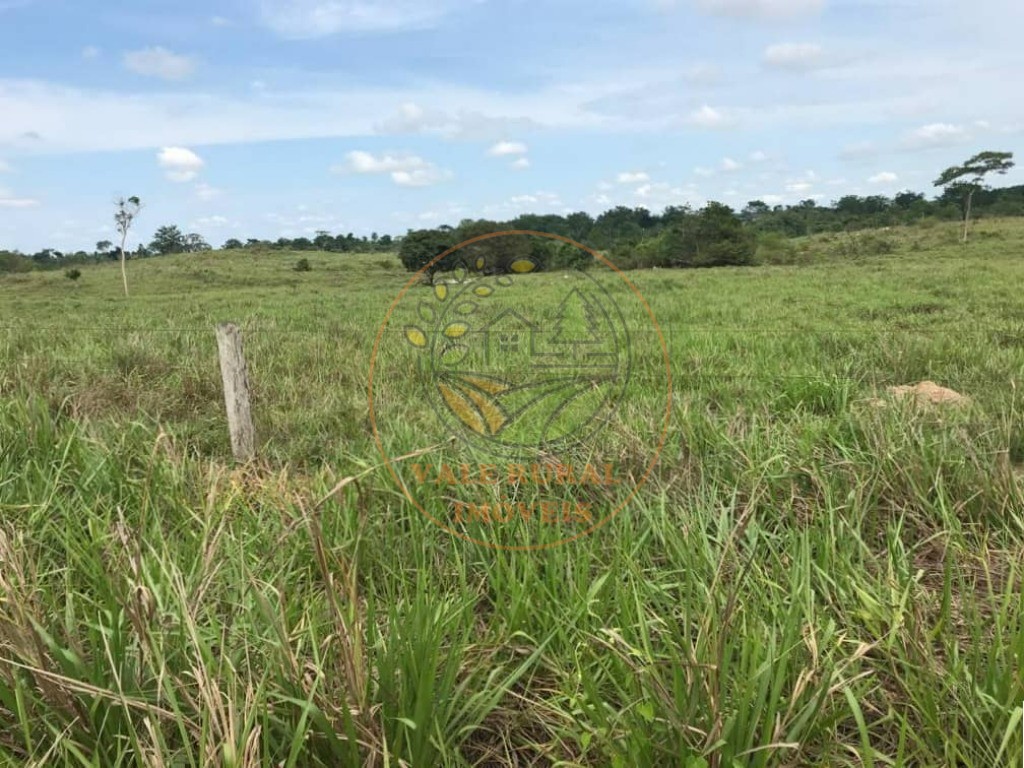 Fazenda à venda com 1 quarto, 1000m² - Foto 21