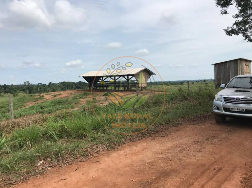 Fazenda à venda com 1 quarto, 1000m² - Foto 40