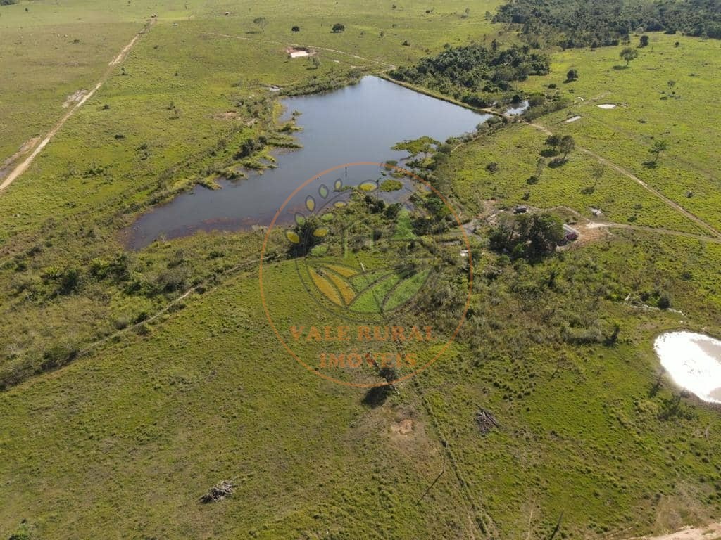 Fazenda à venda com 1 quarto, 1000m² - Foto 25