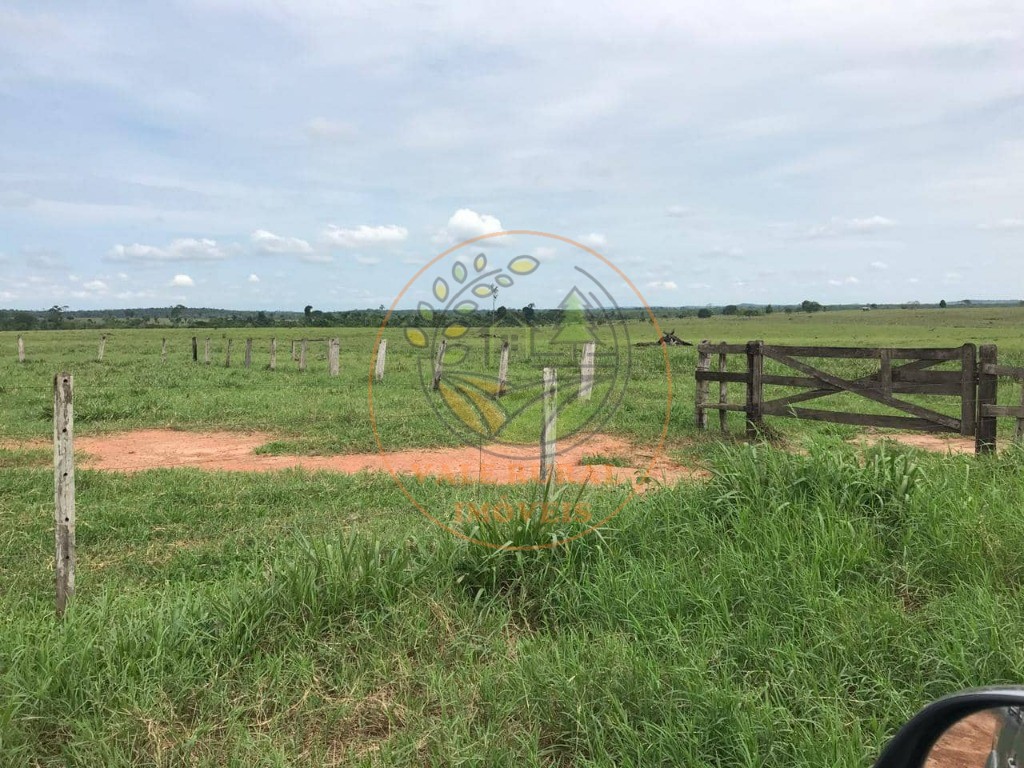 Fazenda à venda com 1 quarto, 1000m² - Foto 42