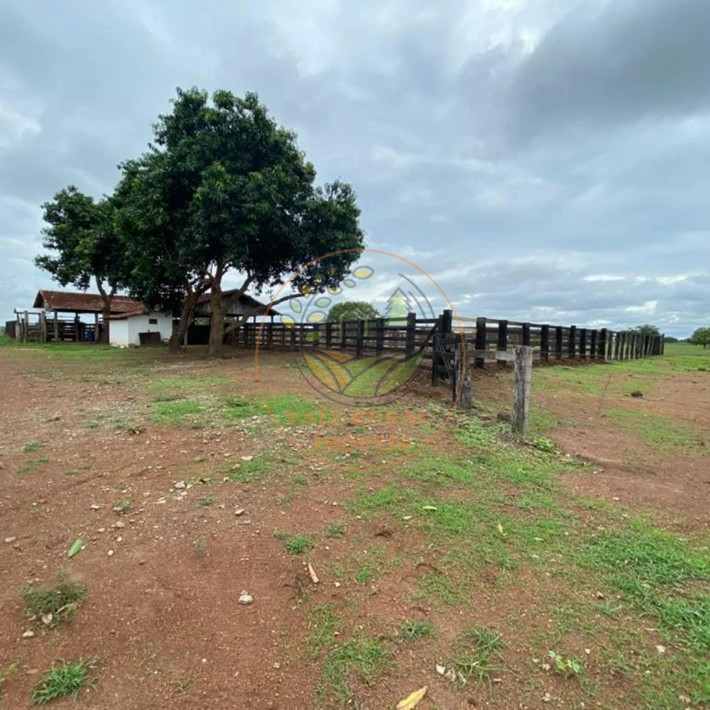 Fazenda à venda com 1 quarto, 954m² - Foto 9