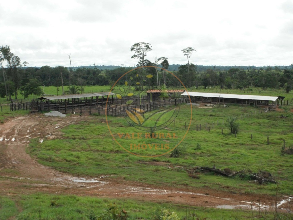 Fazenda à venda com 1 quarto, 1000m² - Foto 5