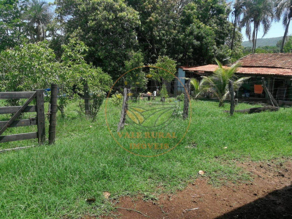 Fazenda à venda - Foto 21