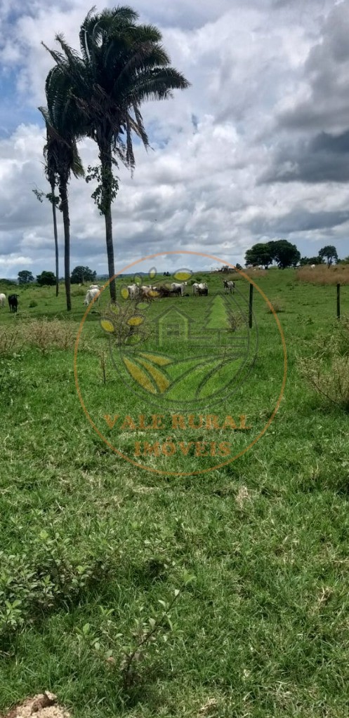 Fazenda à venda - Foto 1