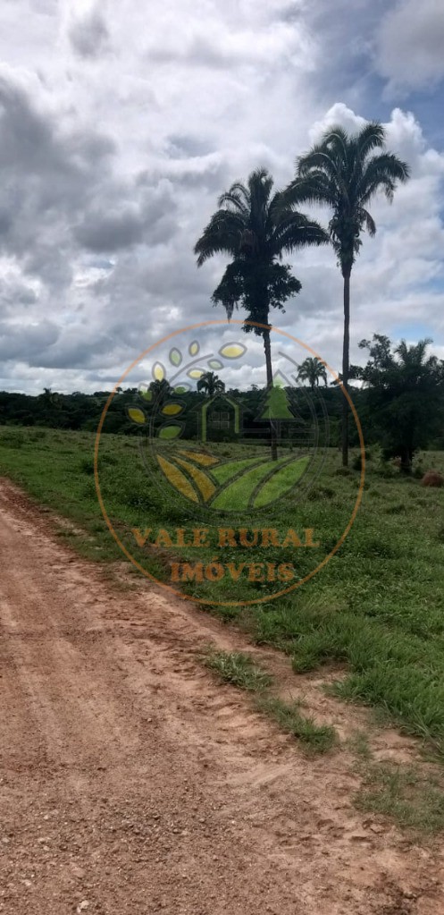 Fazenda à venda - Foto 12