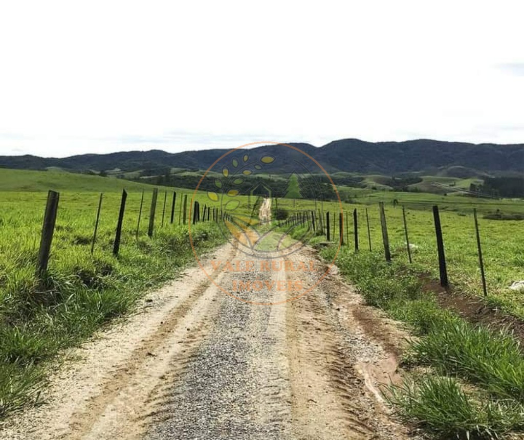 Fazenda à venda com 2 quartos, 88m² - Foto 5