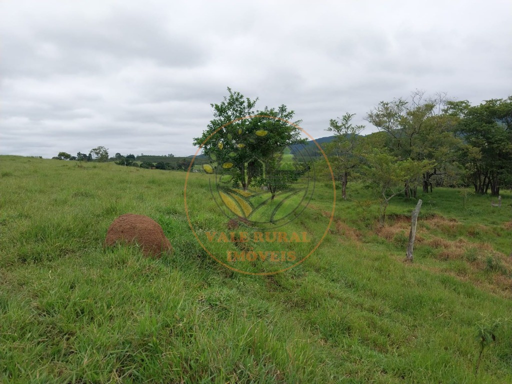 Fazenda à venda com 5 quartos, 11m² - Foto 34