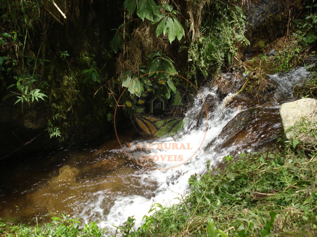 Haras e Área Rural Padrão à venda - Foto 37