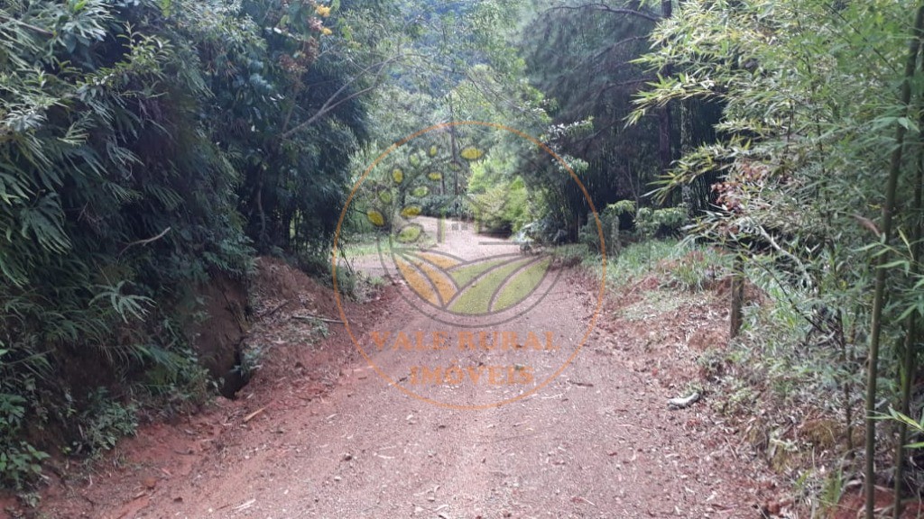 Haras e Área Rural Padrão à venda - Foto 3