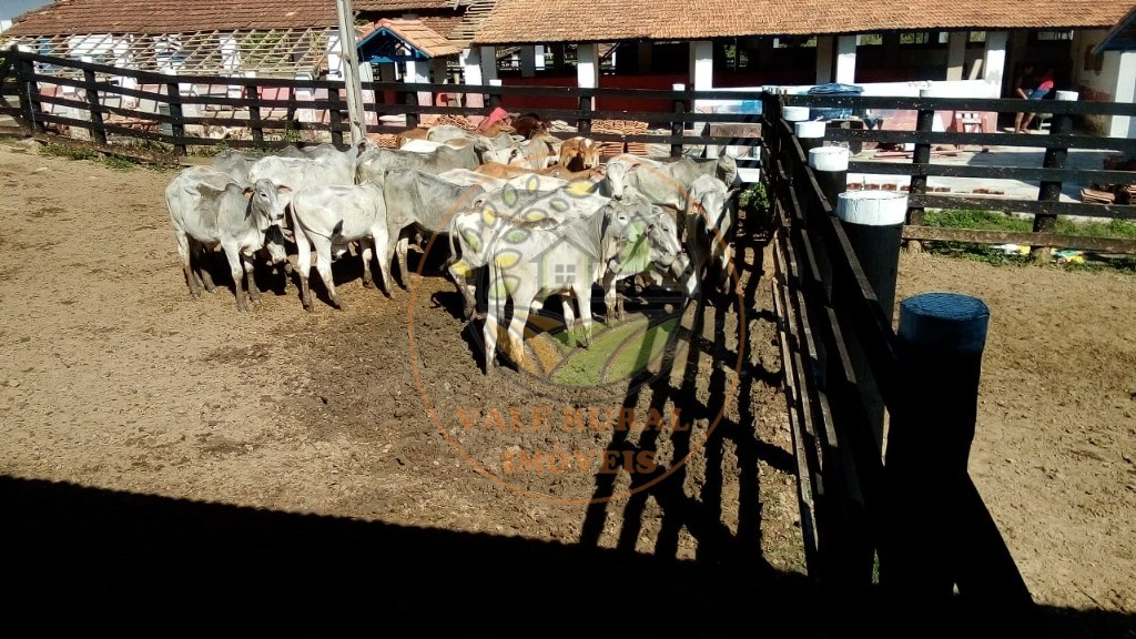 Fazenda à venda com 2 quartos, 88m² - Foto 25