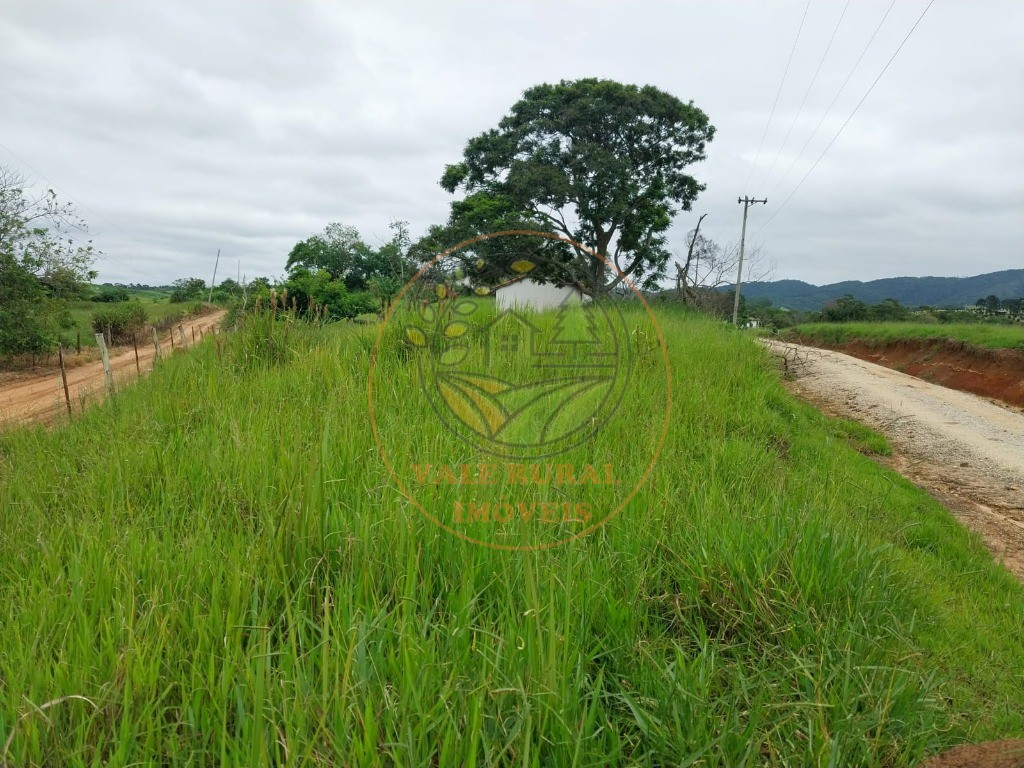 Fazenda à venda com 5 quartos, 11m² - Foto 18