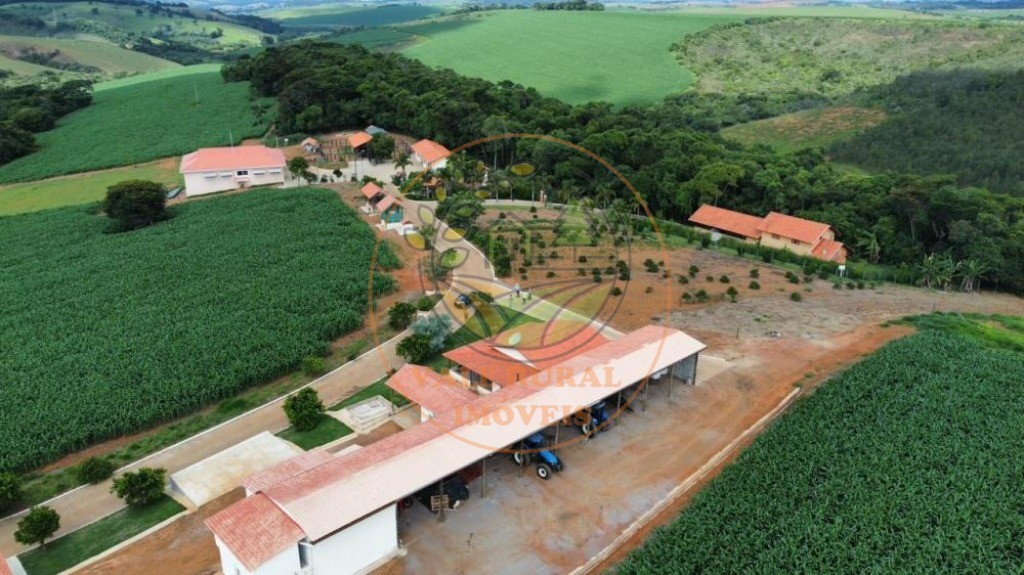 Fazenda à venda com 5 quartos, 171m² - Foto 4