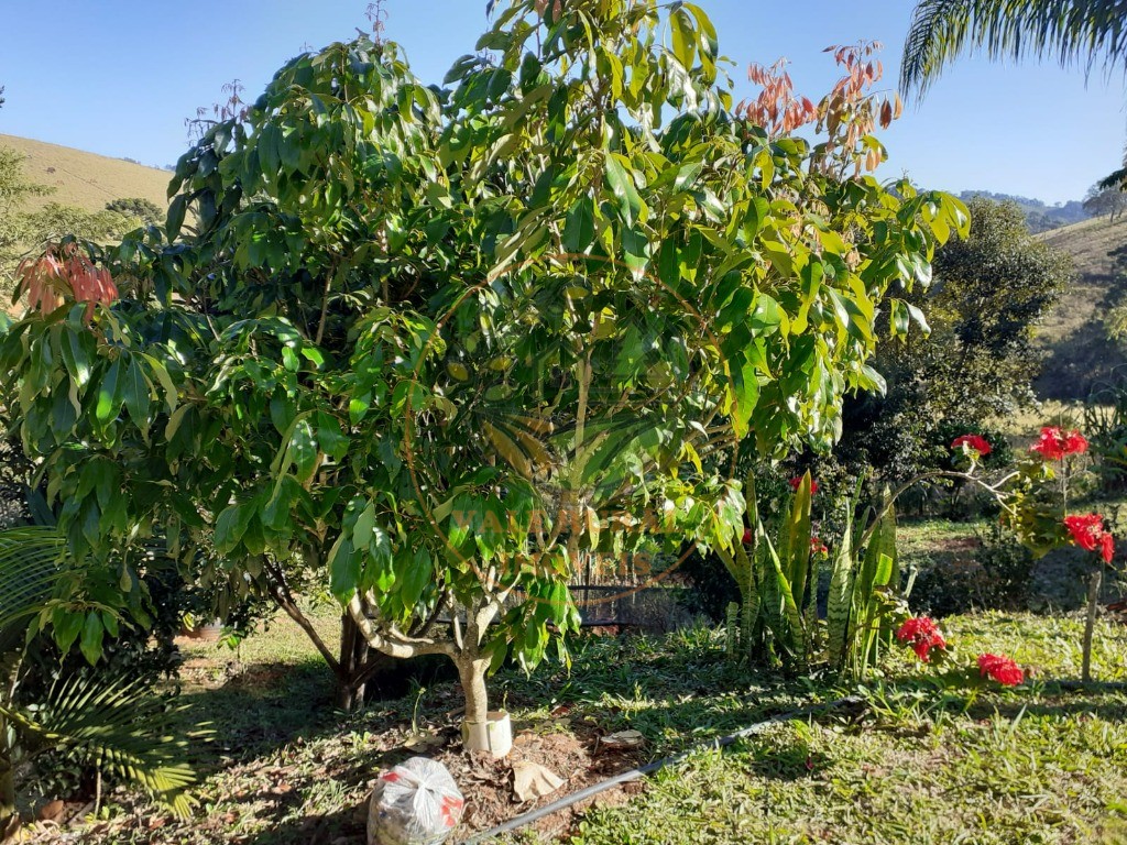 Chácara à venda com 2 quartos, 3000m² - Foto 12