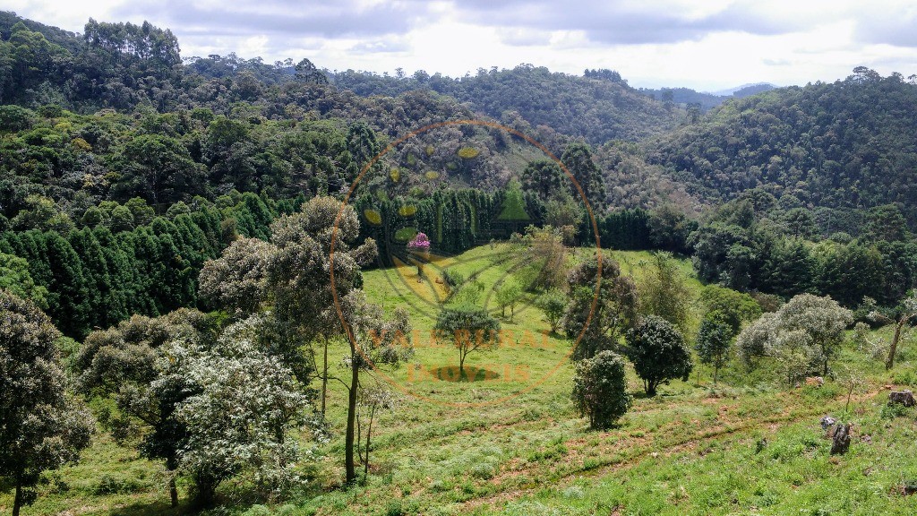 Haras e Área Rural Padrão à venda - Foto 35