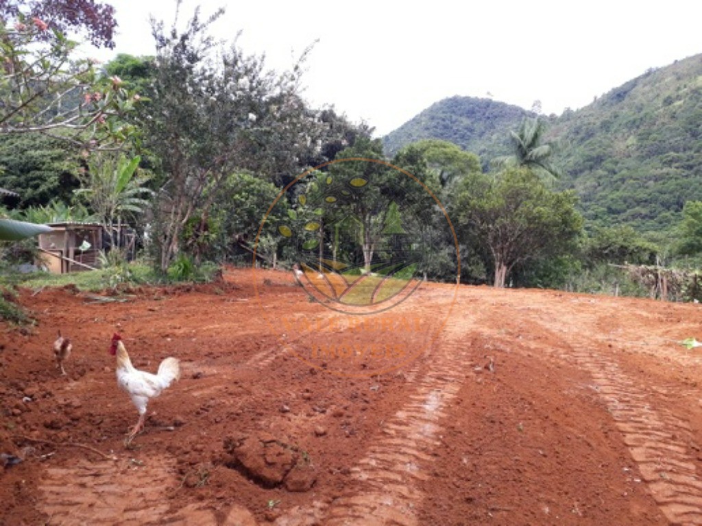 Haras e Área Rural Padrão à venda - Foto 20