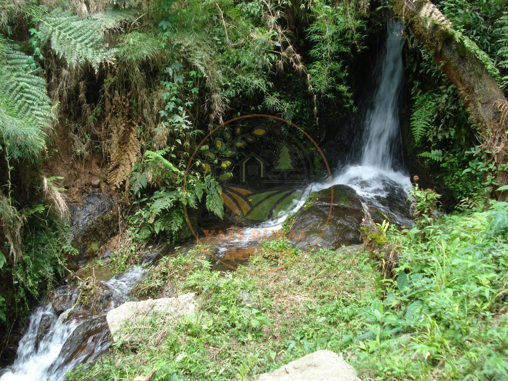 Haras e Área Rural Padrão à venda - Foto 31