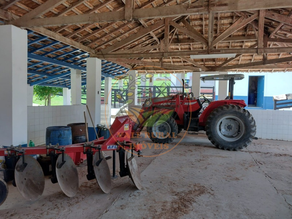 Fazenda à venda com 2 quartos, 88m² - Foto 22