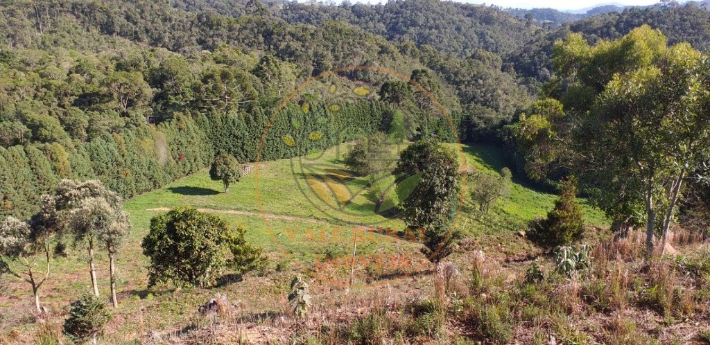 Haras e Área Rural Padrão à venda - Foto 39